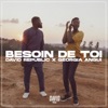 Besoin de toi - Single