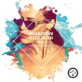 Mad Man in a Haze (Momo Khani & Meindel Extended Remix) artwork