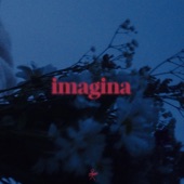 Imagina artwork