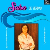 Salsa De Verdad artwork