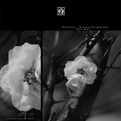 Transcending the Lotus (Unjin Remix) artwork