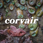 Corvair - Sailor Down