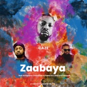 Zaabaya (feat. Amapiano Chronicles, Palesa M & Malume Choppie) artwork