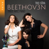 Piano Trio No. 1 in E-Flat Major, Op. 1: III. Scherzo. Allegro assai - Trio artwork