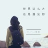世界这么大还是遇见你 - Single