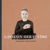 Layıksın Her Şeyime artwork