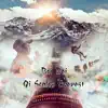 Qi Scales Everest - Single album lyrics, reviews, download