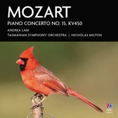 Piano Concerto No. 15 in B-Flat Major, K. 450: I. Allegro artwork