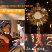 Ven Señor Jesús Adoración (En Vivo) artwork