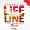 Lifeline Remix (feat. DJ Mugsy Mugs & Swallow) - Single