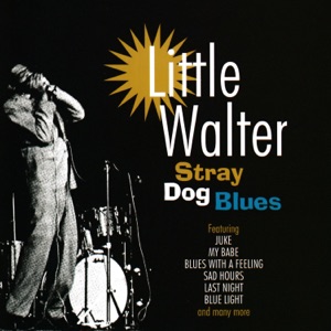 Stray Dog Blues