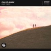 Calvo - One Thing