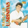 Mandolin U. Srinivas - Ninnukori - Mandolin