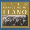 Hato Grande de Mi Llano (Colección Diamantina Volumen I)