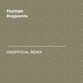 Human (Rag'n'Bone Man) [Reggaesta Unofficial Remix] artwork