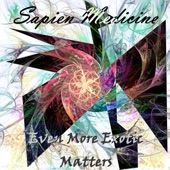 Even More Exotic Matters - EP artwork