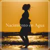 Stream & download Nacimiento en Agua - Música de Ambiente para Parto Natural, Sonidos de la Naturaleza