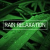 Rain Sounds - Rain Droplets