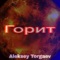 Горит - Aleksey Torgaev lyrics