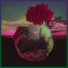 Island - Single