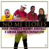 No Me Llores (Remix) [feat. Lorena Santos] - Single