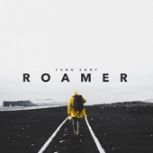 Roamer - EP artwork
