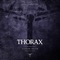 Sudden Death - Thorax lyrics