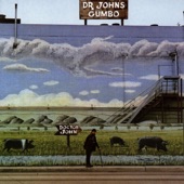 Dr. John - Big Chief