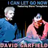 I Can Let Go Now (feat. Steve Tavaglione) - Single album lyrics, reviews, download
