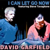 I Can Let Go Now (feat. Steve Tavaglione) - Single