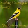 Soothing Countryside Sounds