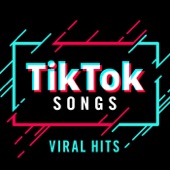 TikTok Songs Viral Hits artwork
