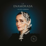 Julieta Venegas - Aire en Movimiento