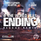 If the World Was Ending (Reggae Remix) artwork