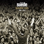 Suede - Barriers