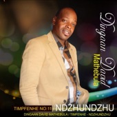 Ndzhundzhu artwork