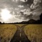Beckon - CJ Clary lyrics