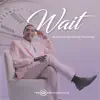 Wait album lyrics, reviews, download
