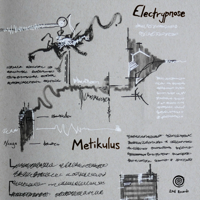Electrypnose - Metikulus artwork