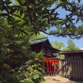 Ukyo - Zen Garden