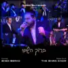 Baruch Hashem! - Single album lyrics, reviews, download