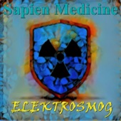 Elektrosmog - EP artwork