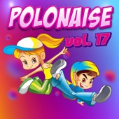 Polonaise Vol. 17 (2021) artwork