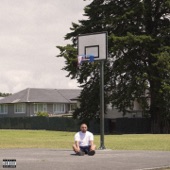 THE LAY UP artwork