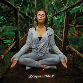 Yoga Chill by Various Artists album reviews, ratings, credits