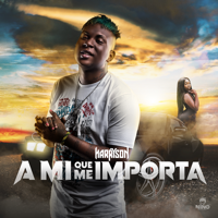 Harryson - A Mi Que Me Importa artwork