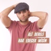 Hak Edecek Misin? - Single