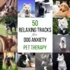 50 Relaxing Tracks for Dog Anxiety: Pet Therapy, Calming Music, Harmony and Peace, Animal Reiki, Holistic Healing album lyrics, reviews, download