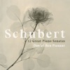 Schubert: 12 Great Piano Sonatas