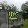 Uyg - Single album lyrics, reviews, download